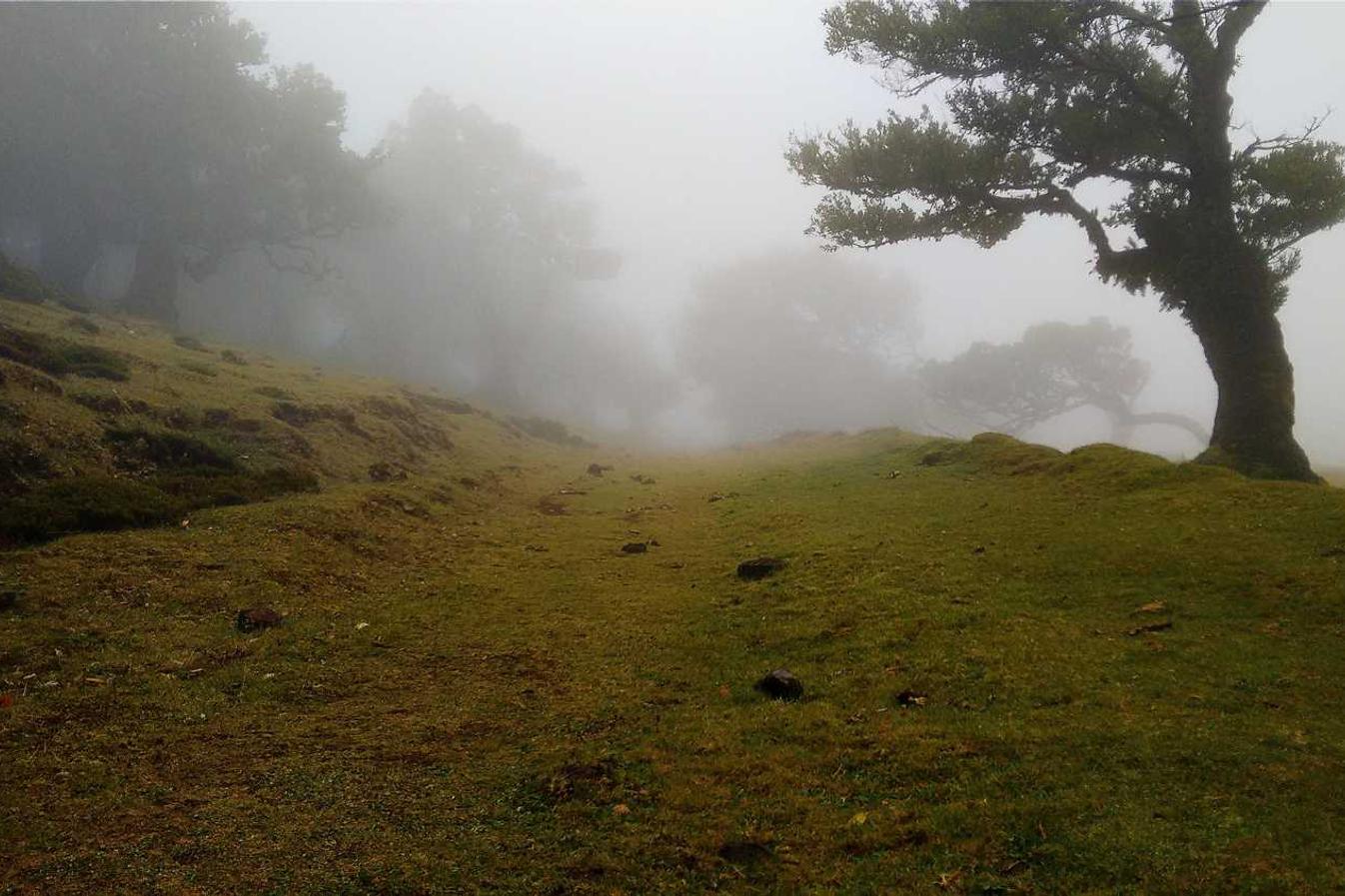 Kürek ve Zihin: Sporu Terapi Gibi Kullanmak Mümkün mü?