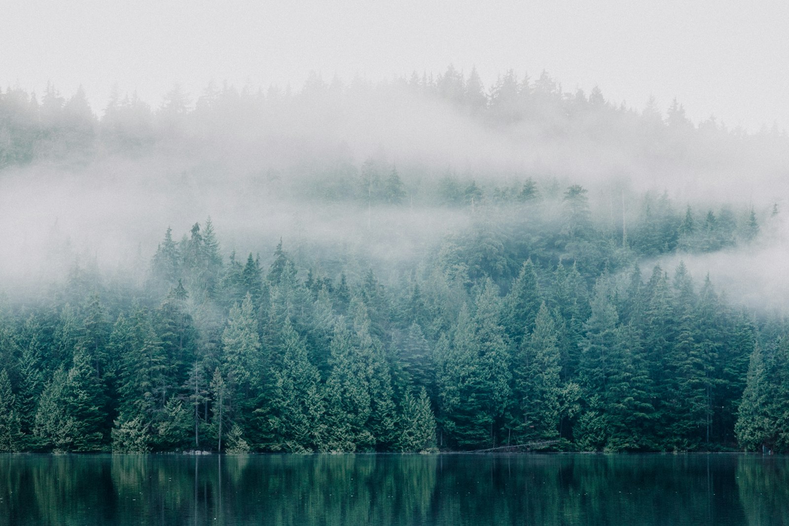 Nefesle başlamak: panik anında bedenin küçük müdahalesi
